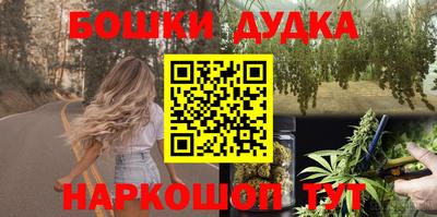 крисы Бийск