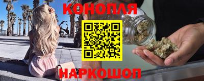 крисы Бийск